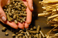 free Craigmarloch biomass boiler quotes